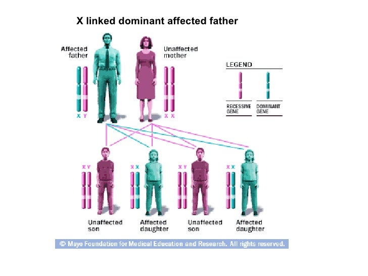 Mendelian diseases