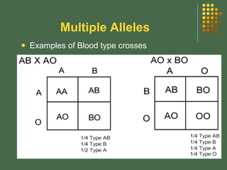 Mendelian exceptions 11 3 | PPT