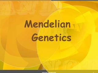 1
Mendelian
Genetics
copyright cmassengale
 