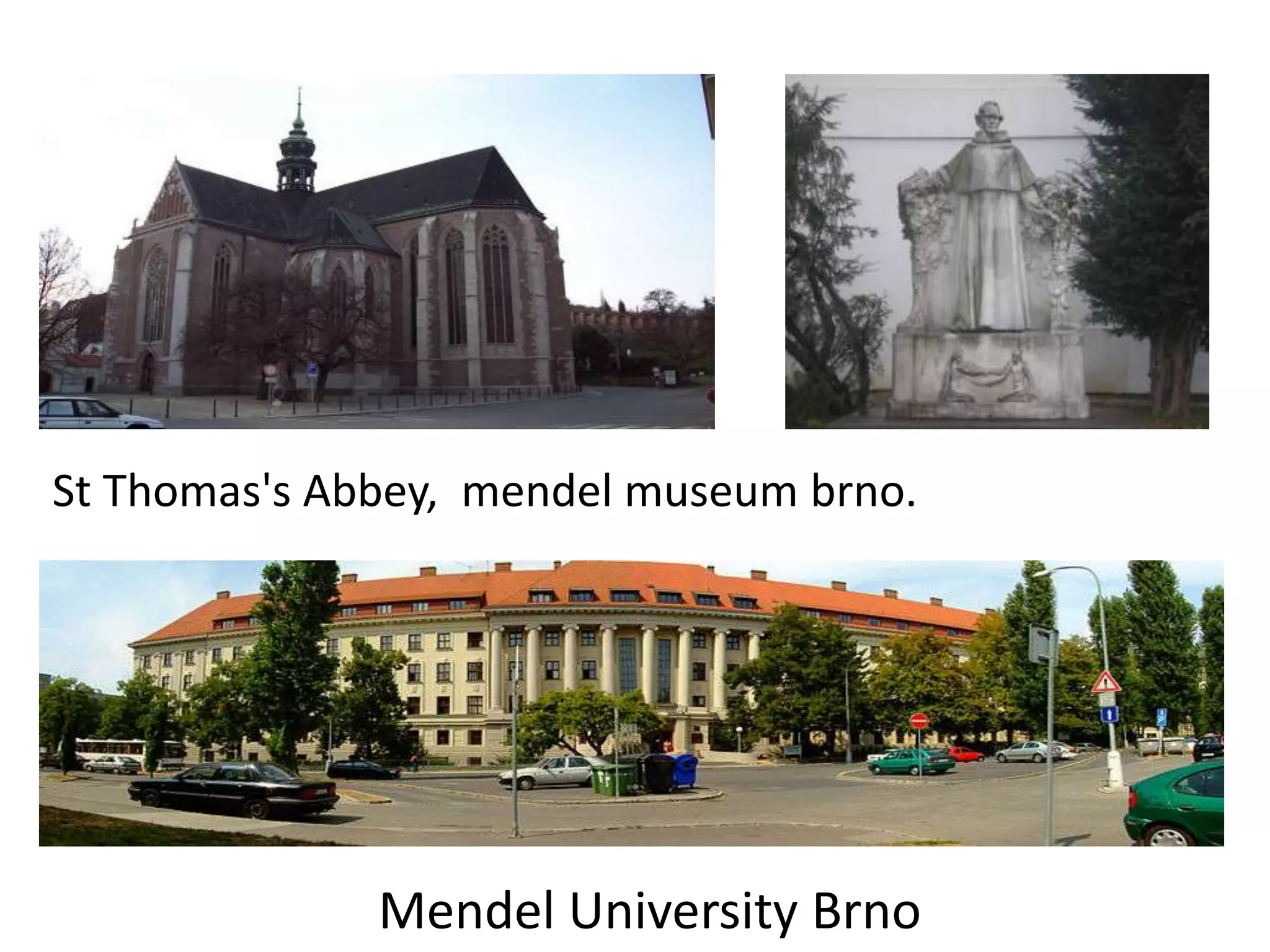 St Thomas's Abbey, mendel museum brno.

Mendel University Brno

 