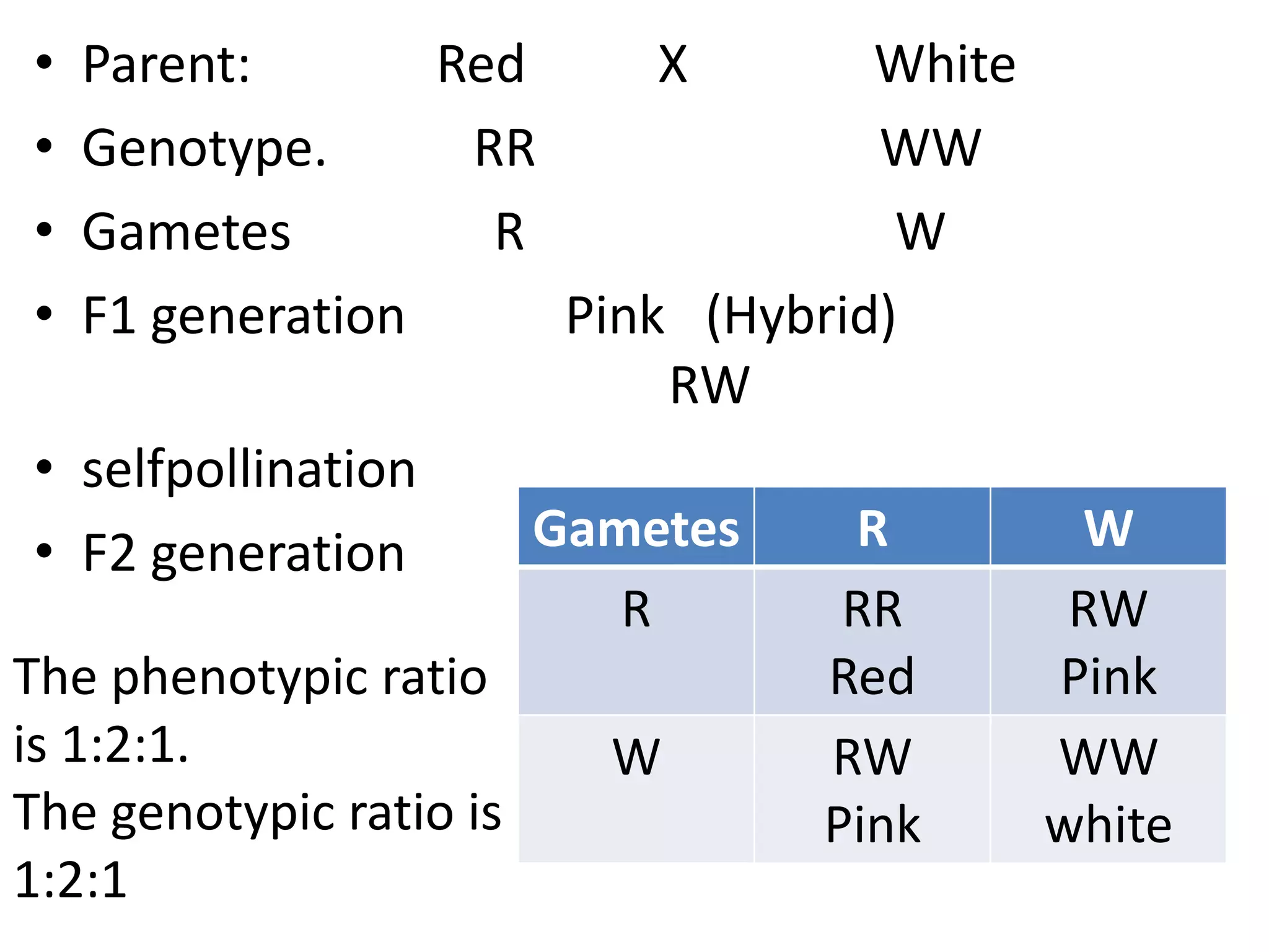 •
•
•
•

Parent:
Red
X
White
Genotype.
RR
WW
Gametes
R
W
F1 generation
Pink (Hybrid)
RW
• selfpollination
Gametes
R
• F2 generation
R
RR
The phenotypic ratio
Red
is 1:2:1.
W
RW
The genotypic ratio is
Pink
1:2:1

W
RW
Pink
WW
white

 