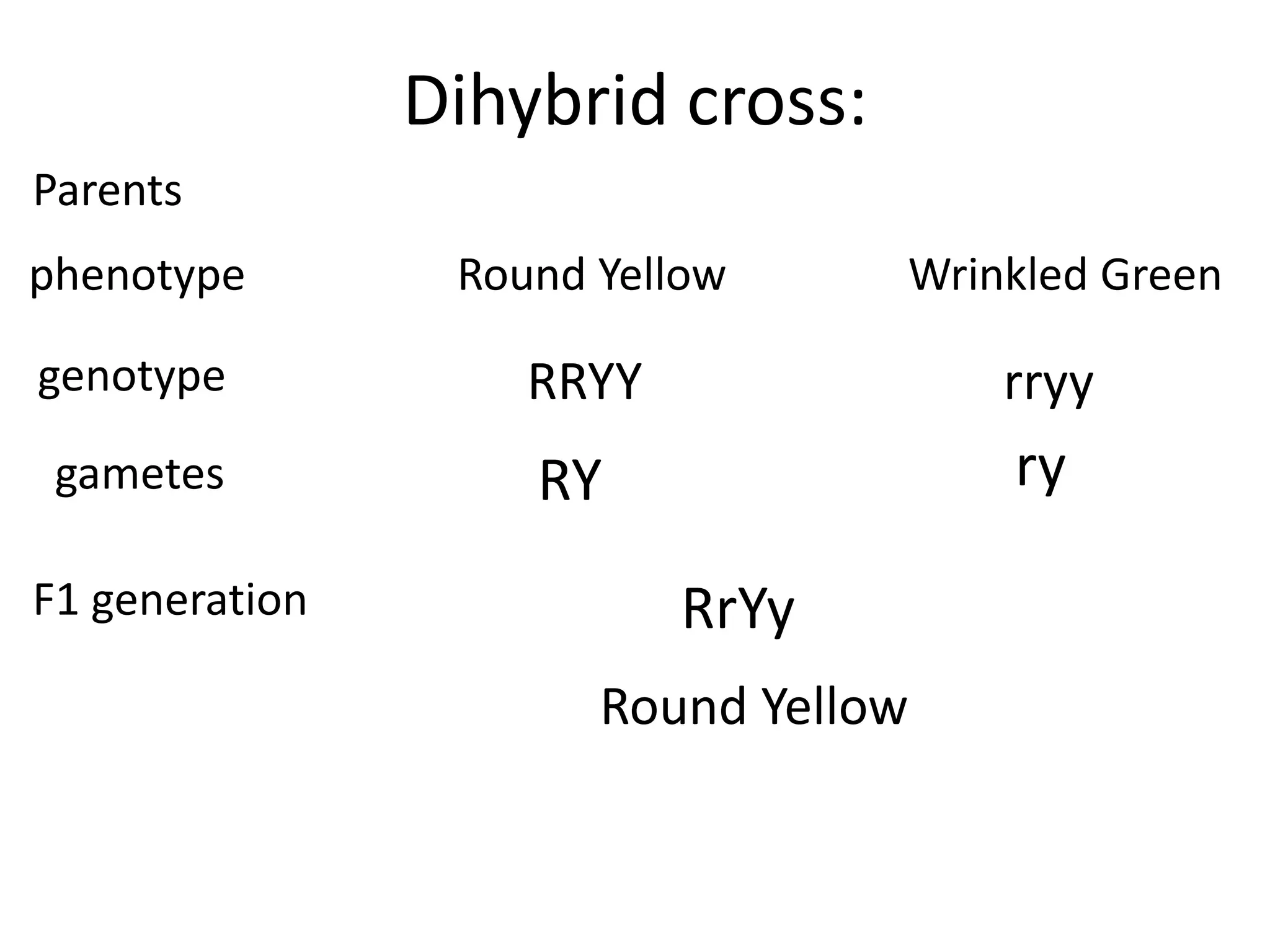 Dihybrid cross:
Parents
phenotype

Round Yellow

genotype

RRYY

rryy

RY

ry

gametes
F1 generation

Wrinkled Green

RrYy
Round Yellow

 
