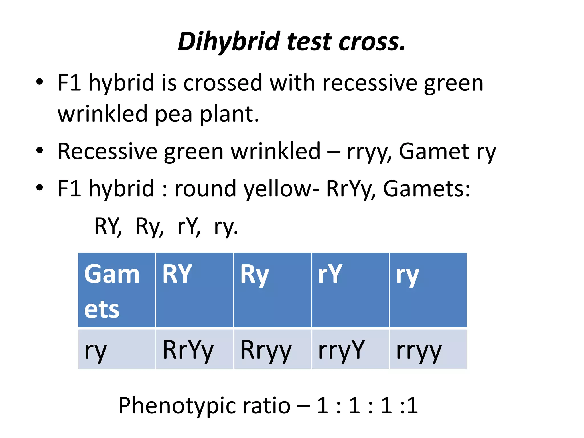 Dihybrid test cross.
• F1 hybrid is crossed with recessive green
wrinkled pea plant.
• Recessive green wrinkled – rryy, Gamet ry
• F1 hybrid : round yellow- RrYy, Gamets:
RY, Ry, rY, ry.

Gam RY
Ry
rY
ets
ry
RrYy Rryy rryY

ry

rryy

Phenotypic ratio – 1 : 1 : 1 :1

 