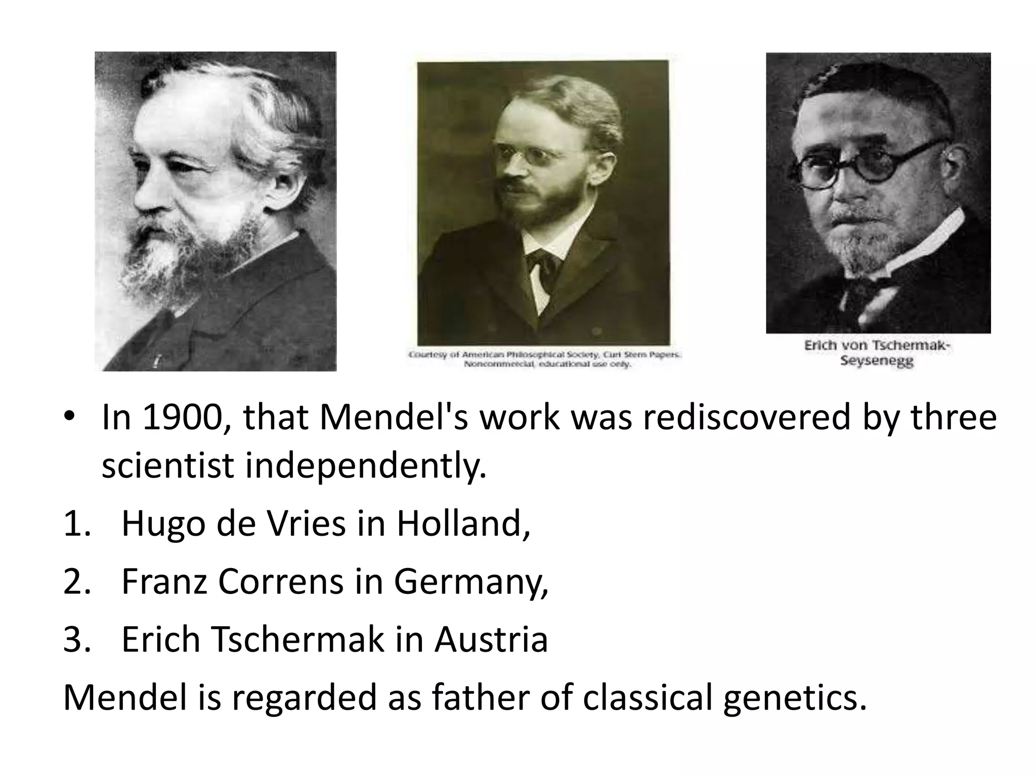 • In 1900, that Mendel's work was rediscovered by three
scientist independently.
1. Hugo de Vries in Holland,
2. Franz Correns in Germany,
3. Erich Tschermak in Austria
Mendel is regarded as father of classical genetics.

 