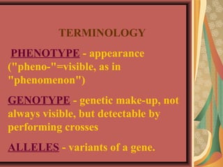 TERMINOLOGY
PHENOTYPE - appearance
("pheno-"=visible, as in
"phenomenon")
GENOTYPE - genetic make-up, not
always visible, but detectable by
performing crosses
ALLELES - variants of a gene.
 