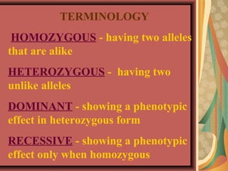 TERMINOLOGY
HOMOZYGOUS - having two alleles
that are alike
HETEROZYGOUS - having two
unlike alleles
DOMINANT - showing a phenotypic
effect in heterozygous form
RECESSIVE - showing a phenotypic
effect only when homozygous
 