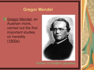 Gregor Mendel
Father of modern genetics
Gregor Mendel, an
Austrian monk,
carried out the first
important studies
on heredity
(1800s).
 