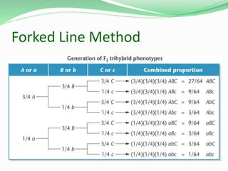 Forked Line Method
 