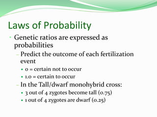 Laws of Probability
• Genetic ratios are expressed as
probabilities
– Predict the outcome of each fertilization
event
 0 = certain not to occur
 1.0 = certain to occur
– In the Tall/dwarf monohybrid cross:
 3 out of 4 zygotes become tall (0.75)
 1 out of 4 zygotes are dwarf (0.25)
 