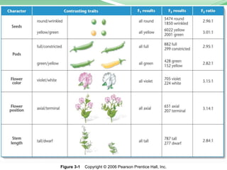 Figure 3-1 Copyright © 2006 Pearson Prentice Hall, Inc.
 