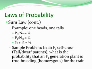 Laws of Probability
Sum Law (cont.)
• Example: one heads, one tails
 PH:NT = ¼
 PT:NH = ¼
 ¼ + ¼ = ½
• Sample Problem: In an F1 self-cross
(Tall/dwarf parents), what is the
probability that an F2 generation plant is
true-breeding (homozygous) for the trait
 