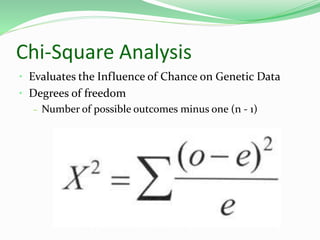 Chi-Square Analysis
• Evaluates the Influence of Chance on Genetic Data
• Degrees of freedom
– Number of possible outcomes minus one (n - 1)
 