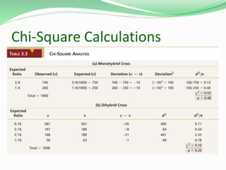 Chi-Square Calculations
 
