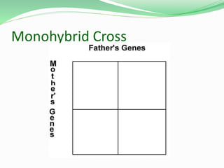 Monohybrid Cross
 
