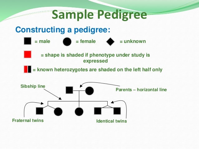 symbol for female genetics symbol for female genetics