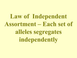 Law of Independent
Assortment – Each set of
alleles segregates
independently
 