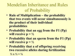 Mendelian Inheritance and Rules
of Probability
• Rule of Multiplication – the probability
that two events will occur simultaneously is
the product of their individual
probabilities
• Probability that an egg from the F1 (Pp)
will receive p = ½
• Probability that an sperm from the F1 (Pp)
will receive p = ½
• Probability that a of offspring receiving
two recessive alleles during fertilization
½ x ½ = ¼
 