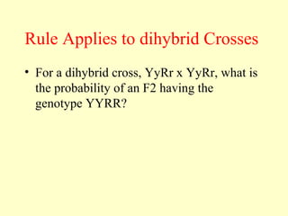 Rule Applies to dihybrid Crosses
• For a dihybrid cross, YyRr x YyRr, what is
the probability of an F2 having the
genotype YYRR?
 