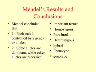 Mendel’s Results and
Conclusions
• Mendel concluded
that:
• 1. Each trait is
controlled by 2 genes
or alleles.
• 2. Some alleles are
dominant, while other
alleles are recessive.
• Important terms:
• Homozygous
• Pure bred
• Heterozygous
• hybrid
• Phenotype
• genotype
 