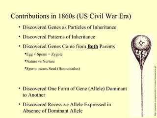 Contributions in 1860s (US Civil War Era)
• Discovered Genes as Particles of Inheritance
• Discovered Patterns of Inheritance
• Discovered Genes Come from Both Parents
Egg + Sperm = Zygote
Nature vs Nurture
Sperm means Seed (Homunculus)
• Discovered One Form of Gene (Allele) Dominant
to Another
• Discovered Recessive Allele Expressed in
Absence of Dominant Allele
http://academic.evergreen.edu/v/vivianoc/homunculus.gif
 