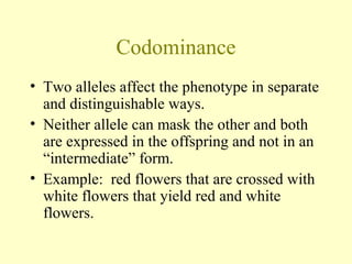 Codominance
• Two alleles affect the phenotype in separate
and distinguishable ways.
• Neither allele can mask the other and both
are expressed in the offspring and not in an
“intermediate” form.
• Example: red flowers that are crossed with
white flowers that yield red and white
flowers.
 