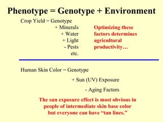 Phenotype = Genotype + Environment
Crop Yield = Genotype
+ Minerals
+ Water
+ Light
- Pests
etc.
Human Skin Color = Genotype
+ Sun (UV) Exposure
- Aging Factors
The sun exposure effect is most obvious in
people of intermediate skin base color
but everyone can have “tan lines.”
Optimizing these
factors determines
agricultural
productivity…
 