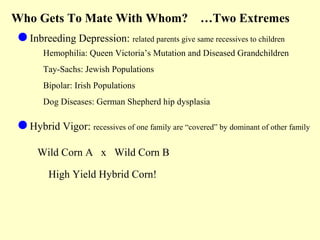 Who Gets To Mate With Whom? …Two Extremes
Inbreeding Depression: related parents give same recessives to children
Hemophilia: Queen Victoria’s Mutation and Diseased Grandchildren
Tay-Sachs: Jewish Populations
Bipolar: Irish Populations
Dog Diseases: German Shepherd hip dysplasia
Hybrid Vigor: recessives of one family are “covered” by dominant of other family
Wild Corn A x Wild Corn B
High Yield Hybrid Corn!
 