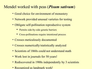 Mendel worked with peas (Pisum sativum)
• Good choice for environment of monastery
• Network provided unusual varieties for testing
• Obligate self-pollination reproductive system
 Permits side-by-side genetic barriers
 Cross-pollinations require intentional process
• Crosses meticulously documented
• Crosses numerically/statistically analyzed
• Scientists of 1860s could not understand math
• Work lost in journals for 50 years!
• Rediscovered in 1900s independently by 3 scientists
• Recognized as landmark work!
 