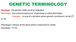 Genetics Terminology Examples mendeliangenetics-200827064849.pptx