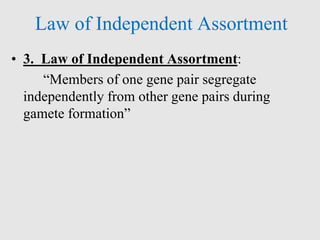 Law of Independent Assortment
• 3. Law of Independent Assortment:
“Members of one gene pair segregate
independently from other gene pairs during
gamete formation”
 