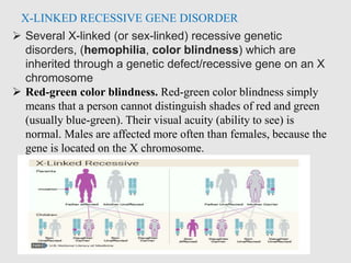  Several X-linked (or sex-linked) recessive genetic
disorders, (hemophilia, color blindness) which are
inherited through a genetic defect/recessive gene on an X
chromosome
 Red-green color blindness. Red-green color blindness simply
means that a person cannot distinguish shades of red and green
(usually blue-green). Their visual acuity (ability to see) is
normal. Males are affected more often than females, because the
gene is located on the X chromosome.
X-LINKED RECESSIVE GENE DISORDER
 