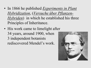 • In 1866 he published Experiments in Plant
Hybridization, (Versuche über Pflanzen-
Hybriden) in which he established his three
Principles of Inheritance.
• His work came to limelight after
34 years, around 1900, when
3 independent botanists
rediscovered Mendel’s work.
 