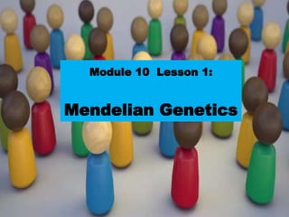 Copyright © by Holt, Rinehart and Winston. All rights reserved.
Resources
Chapter menu
Module 10 Lesson 1:
Mendelian Genetics
 