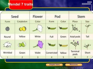 Copyright © by Holt, Rinehart and Winston. All rights reserved.
Resources
Chapter menu
Mendel 7 traits
 