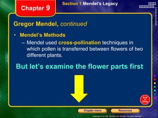 Copyright © by Holt, Rinehart and Winston. All rights reserved.
Resources
Chapter menu
Section 1 Mendel’s Legacy
Chapter 9
Gregor Mendel, continued
• Mendel’s Methods
– Mendel used cross-pollination techniques in
which pollen is transferred between flowers of two
different plants.
But let’s examine the flower parts first
 