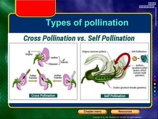 Copyright © by Holt, Rinehart and Winston. All rights reserved.
Resources
Chapter menu
Types of pollination
 