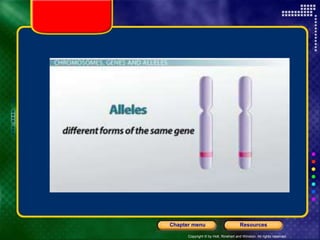 Copyright © by Holt, Rinehart and Winston. All rights reserved.
Resources
Chapter menu
 