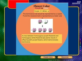 Copyright © by Holt, Rinehart and Winston. All rights reserved.
Resources
Chapter menu
 