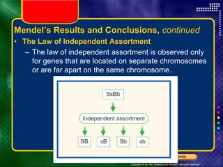 Copyright © by Holt, Rinehart and Winston. All rights reserved.
Resources
Chapter menu
Mendel’s Results and Conclusions, continued
• The Law of Independent Assortment
– The law of independent assortment is observed only
for genes that are located on separate chromosomes
or are far apart on the same chromosome.
 