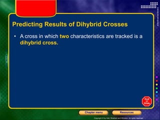 Copyright © by Holt, Rinehart and Winston. All rights reserved.
Resources
Chapter menu
Predicting Results of Dihybrid Crosses
• A cross in which two characteristics are tracked is a
dihybrid cross.
 