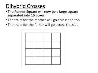 Dihybrid Crosses
•The Punnet Square will now be a large square
separated into 16 boxes.
•The traits for the mother will go across the top.
•The traits for the father will go across the side.
 