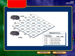 Copyright © by Holt, Rinehart and Winston. All rights reserved.
Resources
Chapter menu
 