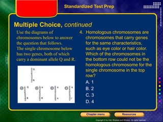 Copyright © by Holt, Rinehart and Winston. All rights reserved.
Resources
Chapter menu
Multiple Choice, continued
4. Homologous chromosomes are
chromosomes that carry genes
for the same characteristics,
such as eye color or hair color.
Which of the chromosomes in
the bottom row could not be the
homologous chromosome for the
single chromosome in the top
row?
A. 1
B. 2
C. 3
D. 4
Use the diagrams of
chromosomes below to answer
the question that follows.
The single chromosome below
has two genes, both of which
carry a dominant allele Q and R.
Standardized Test Prep
 