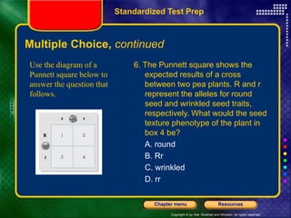 Copyright © by Holt, Rinehart and Winston. All rights reserved.
Resources
Chapter menu
Multiple Choice, continued
6. The Punnett square shows the
expected results of a cross
between two pea plants. R and r
represent the alleles for round
seed and wrinkled seed traits,
respectively. What would the seed
texture phenotype of the plant in
box 4 be?
A. round
B. Rr
C. wrinkled
D. rr
Use the diagram of a
Punnett square below to
answer the question that
follows.
Standardized Test Prep
 