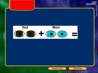 Copyright © by Holt, Rinehart and Winston. All rights reserved.
Resources
Chapter menu
 