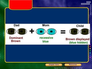 Copyright © by Holt, Rinehart and Winston. All rights reserved.
Resources
Chapter menu
 