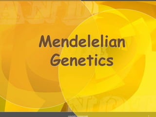1
Mendelelian
Genetics
copyright cmassengale
 