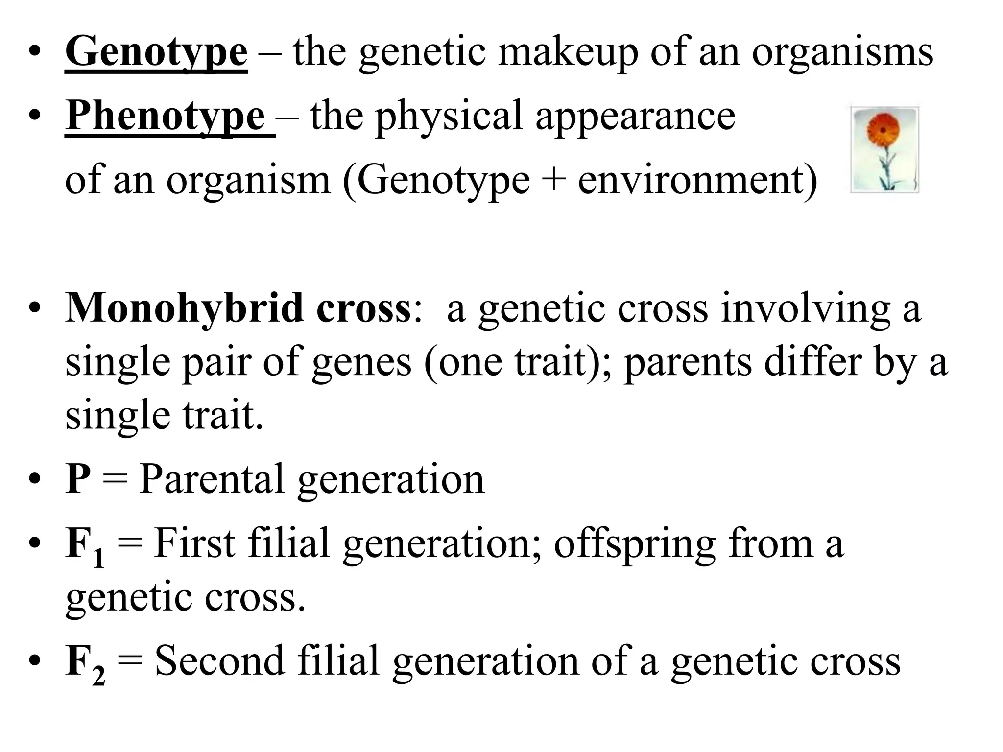 • Genotype – the genetic makeup of an organisms
• Phenotype – the physical appearance
of an organism (Genotype + environment)
• Monohybrid cross: a genetic cross involving a
single pair of genes (one trait); parents differ by a
single trait.
• P = Parental generation
• F1 = First filial generation; offspring from a
genetic cross.
• F2 = Second filial generation of a genetic cross
 