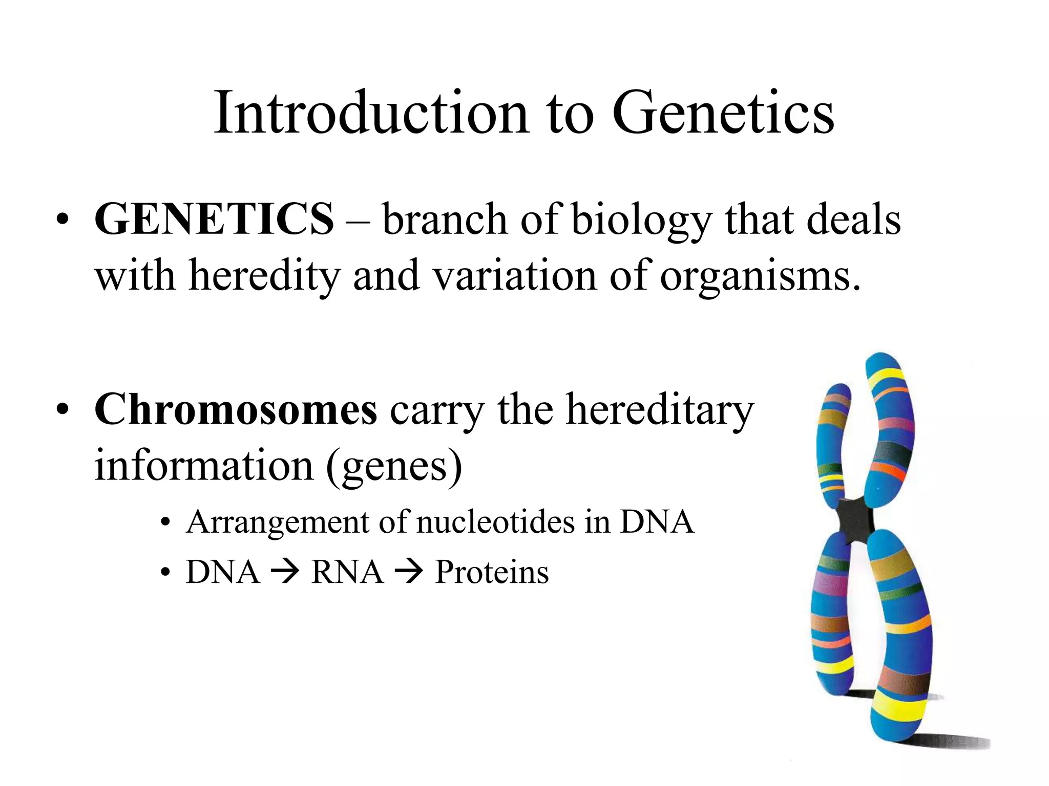 Introduction to Genetics
• GENETICS – branch of biology that deals
with heredity and variation of organisms.
• Chromosomes carry the hereditary
information (genes)
• Arrangement of nucleotides in DNA
• DNA  RNA  Proteins
 