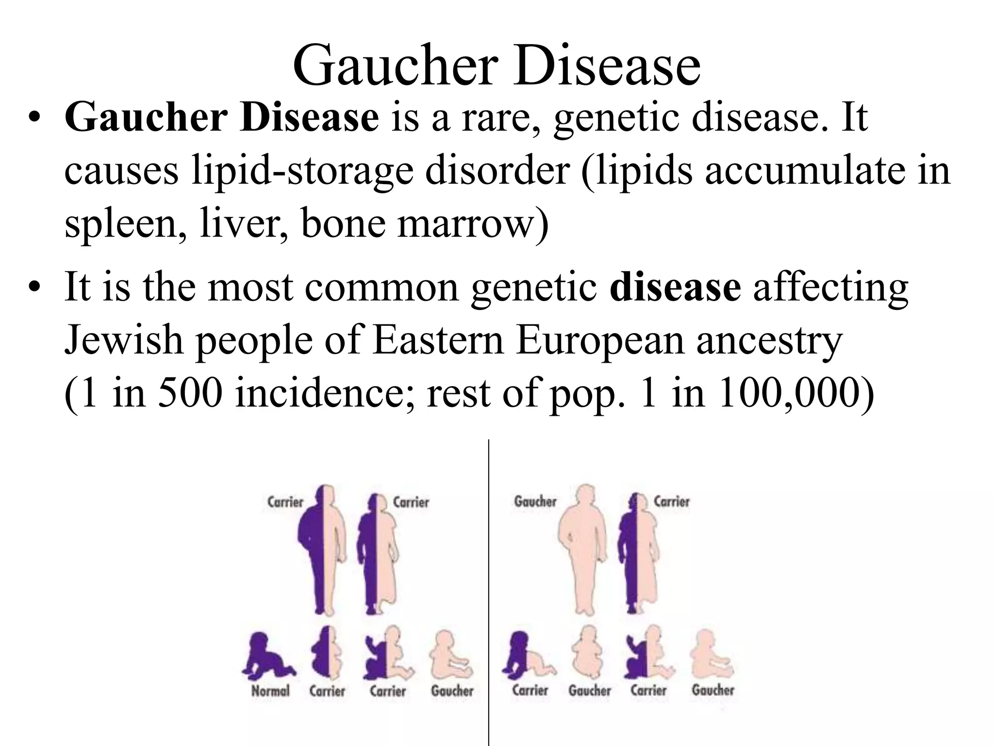 Gaucher Disease
• Gaucher Disease is a rare, genetic disease. It
causes lipid-storage disorder (lipids accumulate in
spleen, liver, bone marrow)
• It is the most common genetic disease affecting
Jewish people of Eastern European ancestry
(1 in 500 incidence; rest of pop. 1 in 100,000)
 